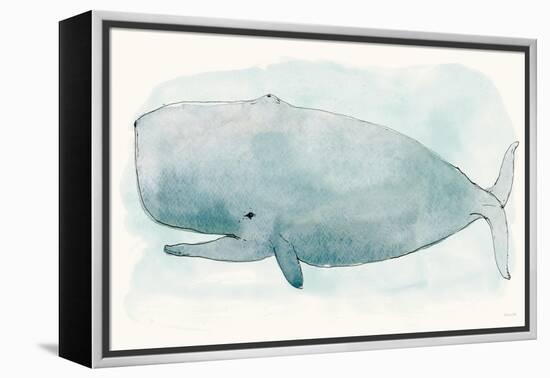 Sea Life V-Sara Zieve-Framed Stretched Canvas