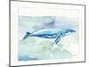 Sea Life VI-Lisa Audit-Mounted Art Print