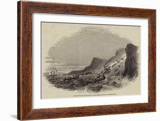 Sea-Lion Hunt Off Callao, Coast of Peru-null-Framed Giclee Print