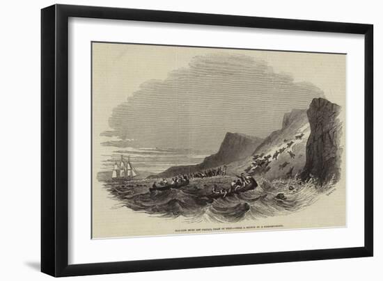 Sea-Lion Hunt Off Callao, Coast of Peru-null-Framed Giclee Print