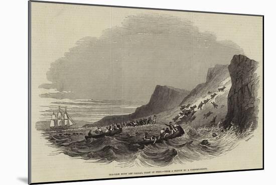 Sea-Lion Hunt Off Callao, Coast of Peru-null-Mounted Giclee Print