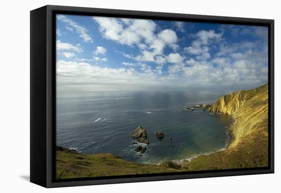 Sea Lion Overlook, Point Reyes National Seashore, California, USA-Charles Gurche-Framed Premier Image Canvas