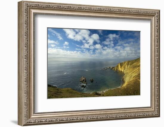 Sea Lion Overlook, Point Reyes National Seashore, California, USA-Charles Gurche-Framed Photographic Print