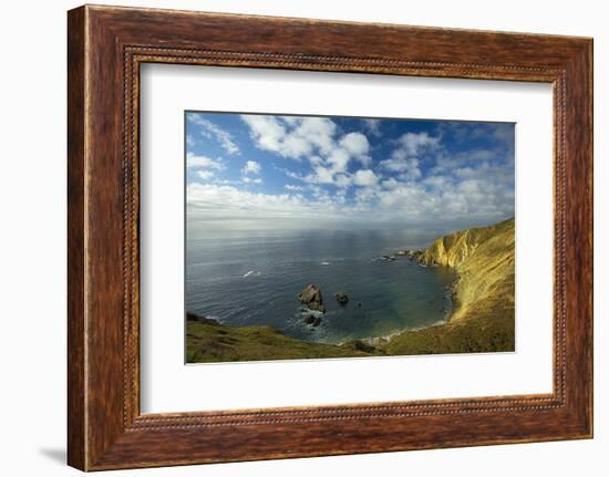 Sea Lion Overlook, Point Reyes National Seashore, California, USA-Charles Gurche-Framed Photographic Print