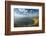 Sea Lion Overlook, Point Reyes National Seashore, California, USA-Charles Gurche-Framed Photographic Print