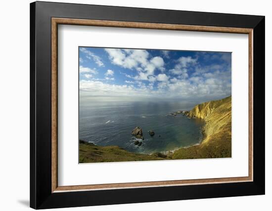 Sea Lion Overlook, Point Reyes National Seashore, California, USA-Charles Gurche-Framed Photographic Print