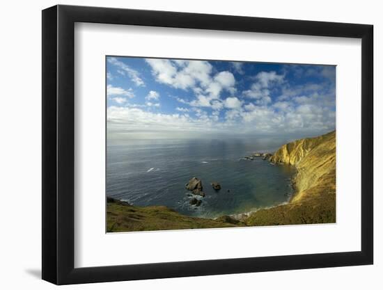 Sea Lion Overlook, Point Reyes National Seashore, California, USA-Charles Gurche-Framed Photographic Print