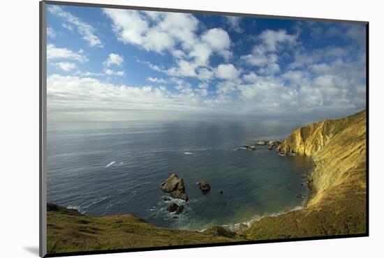 Sea Lion Overlook, Point Reyes National Seashore, California, USA-Charles Gurche-Mounted Photographic Print