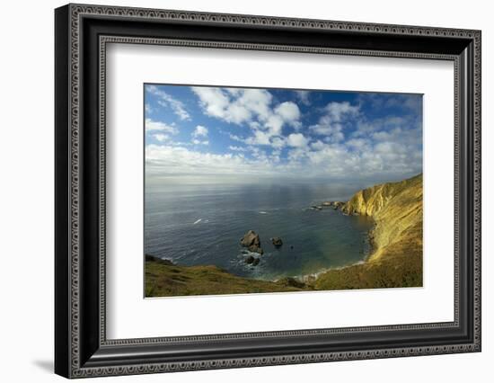 Sea Lion Overlook, Point Reyes National Seashore, California, USA-Charles Gurche-Framed Photographic Print