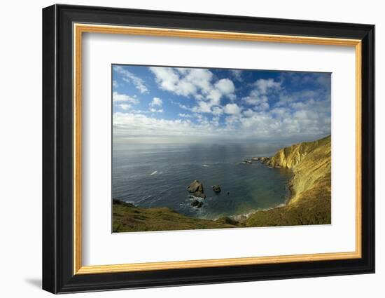 Sea Lion Overlook, Point Reyes National Seashore, California, USA-Charles Gurche-Framed Photographic Print