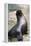 Sea Lion Perching-Lantern Press-Framed Stretched Canvas