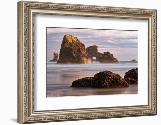 Sea Lion Rock from Indian Beach at sunset, Ecola State Park, Oregon-Adam Jones-Framed Photographic Print