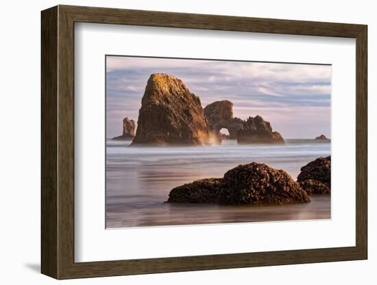 Sea Lion Rock from Indian Beach at sunset, Ecola State Park, Oregon-Adam Jones-Framed Photographic Print