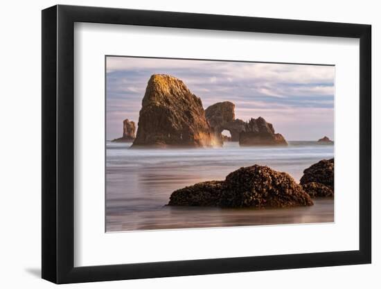 Sea Lion Rock from Indian Beach at sunset, Ecola State Park, Oregon-Adam Jones-Framed Photographic Print