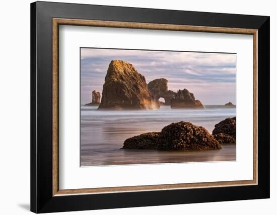 Sea Lion Rock from Indian Beach at sunset, Ecola State Park, Oregon-Adam Jones-Framed Photographic Print