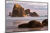 Sea Lion Rock from Indian Beach at sunset, Ecola State Park, Oregon-Adam Jones-Mounted Photographic Print