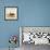 Sea Lion-Sharon Turner-Framed Art Print displayed on a wall