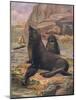 Sea Lions 1909-Cuthbert Swan-Mounted Art Print