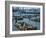 Sea Lions by Pier 39 Near Fisherman's Wharf, with City Skyline Beyond, San Francisco, USA-Christopher Rennie-Framed Photographic Print