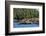 Sea Lions in Great Bear Rainforest, British Columbia, Canada, North America-Bhaskar Krishnamurthy-Framed Photographic Print