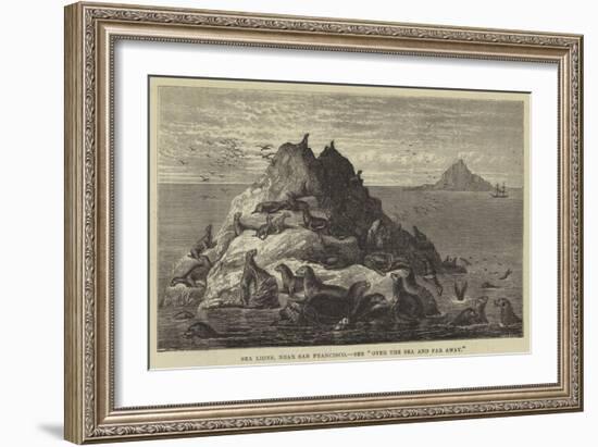 Sea Lions, Near San Francisco-null-Framed Giclee Print