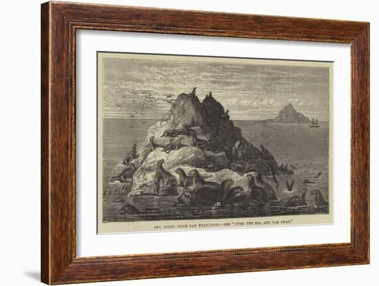 Sea Lions, Near San Francisco-null-Framed Giclee Print