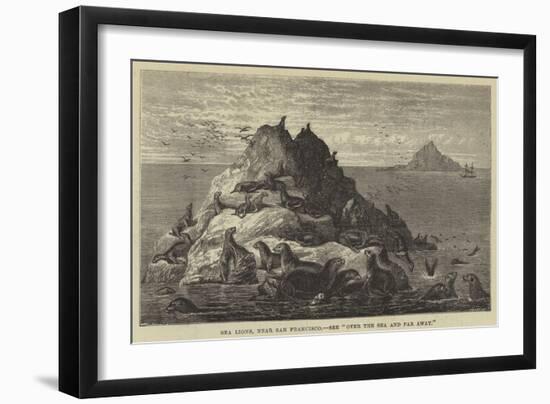 Sea Lions, Near San Francisco-null-Framed Giclee Print