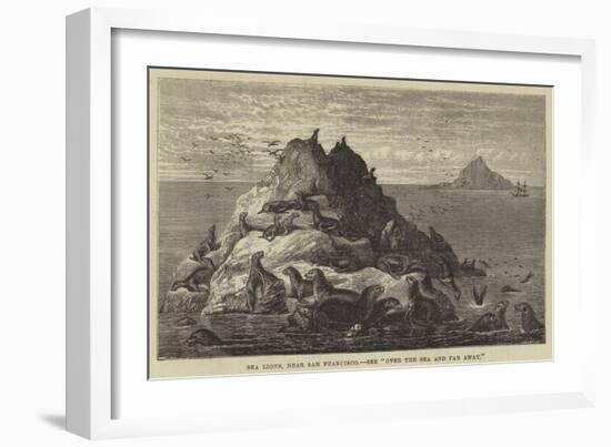 Sea Lions, Near San Francisco-null-Framed Giclee Print