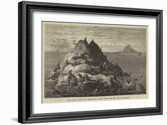 Sea Lions, Near San Francisco-null-Framed Giclee Print