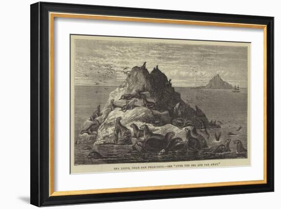 Sea Lions, Near San Francisco-null-Framed Giclee Print