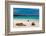 Sea lions on Floreana Island, Galapagos Islands, UNESCO World Heritage Site, Ecuador, South America-Laura Grier-Framed Photographic Print