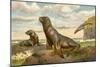 Sea Lions Playing on Shore-null-Mounted Giclee Print