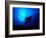 Sea Manta Burst-Charles Glover-Framed Giclee Print