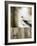 Sea Mist & the Egret-J^P^ Prior-Framed Giclee Print