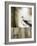 Sea Mist & the Egret-J^P^ Prior-Framed Giclee Print