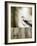 Sea Mist & the Egret-J^P^ Prior-Framed Giclee Print