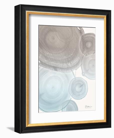 Sea Mist Tree Rings-Albert Koetsier-Framed Art Print