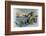 Sea Monster Looks at a Sailing Ship-R. Andre-Framed Photographic Print