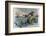 Sea Monster Looks at a Sailing Ship-R. Andre-Framed Photographic Print