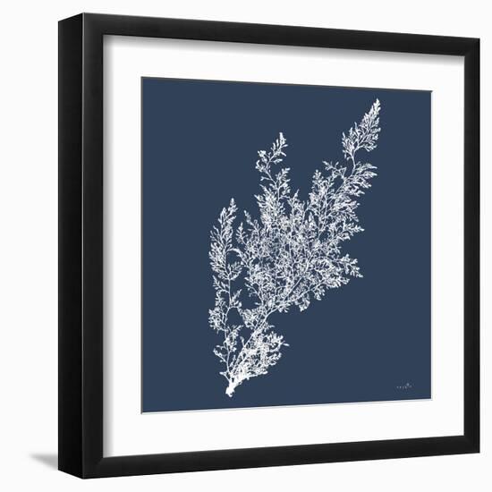 Sea Moss II-Sophie 6-Framed Art Print