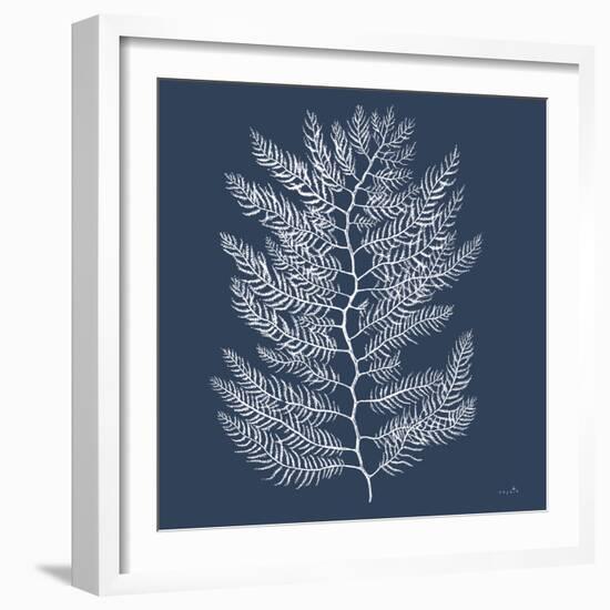 Sea Moss III-Sophie 6-Framed Art Print