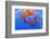 Sea Nettles, Monterey, California, Usa-Russ Bishop-Framed Photographic Print