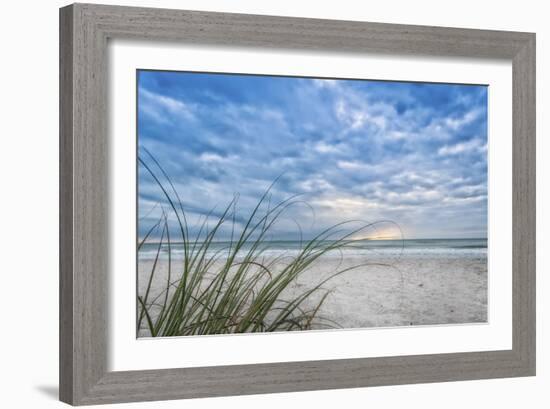 Sea Oat Curl of Sunset-Mary Lou Johnson-Framed Art Print