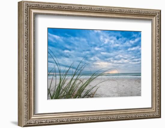 Sea Oat Curl of Sunset-Mary Lou Johnson-Framed Photo