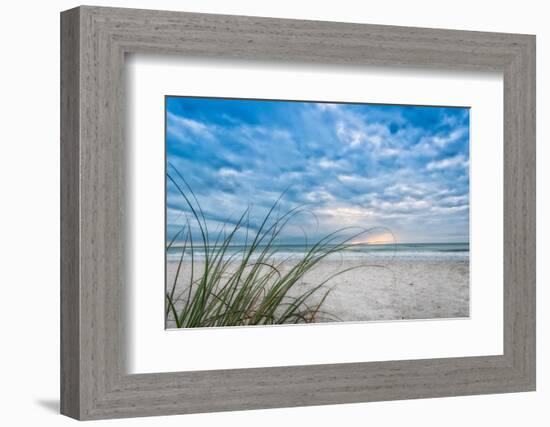 Sea Oat Curl of Sunset-Mary Lou Johnson-Framed Photo