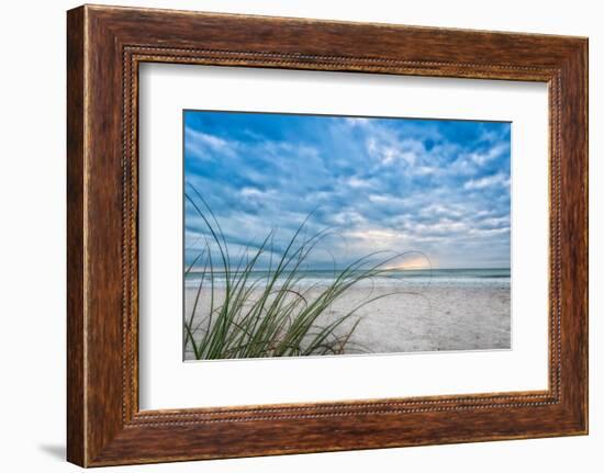 Sea Oat Curl of Sunset-Mary Lou Johnson-Framed Photo