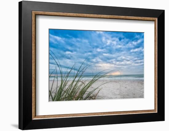 Sea Oat Curl of Sunset-Mary Lou Johnson-Framed Photo