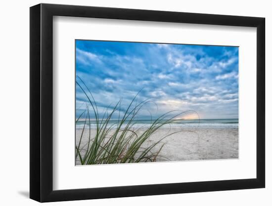 Sea Oat Curl of Sunset-Mary Lou Johnson-Framed Photo