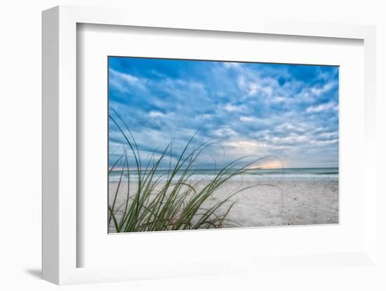 Sea Oat Curl of Sunset-Mary Lou Johnson-Framed Photo