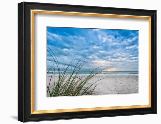 Sea Oat Curl of Sunset-Mary Lou Johnson-Framed Photo